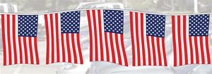 American Flag Pennants - Polyethylene