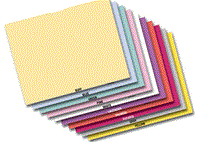 Blank Vehicle Deal Envelopes - Deal Jackets (100 per Box)